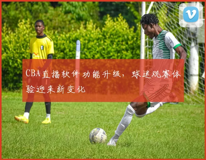CBA直播软件功能升级,球迷观赛体验迎来新变化