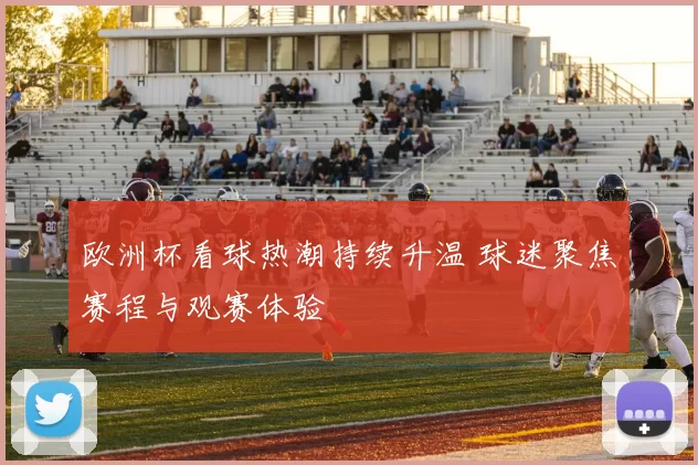 欧洲杯看球热潮持续升温 球迷聚焦赛程与观赛体验