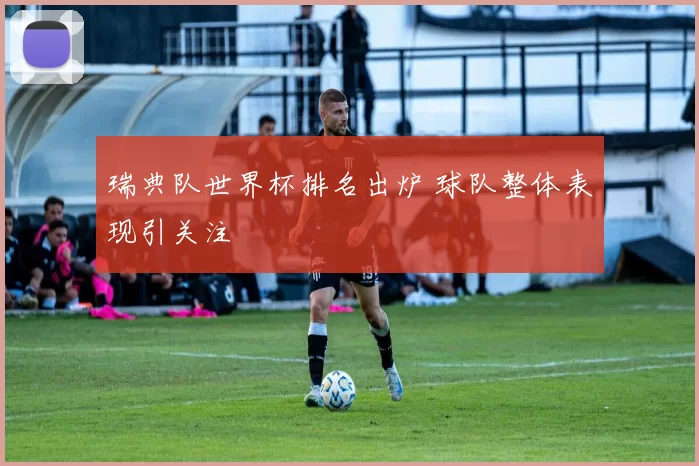 瑞典队世界杯排名出炉 球队整体表现引关注