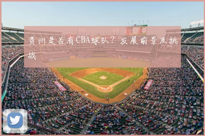 贵州是否有CBA球队？发展前景及挑战