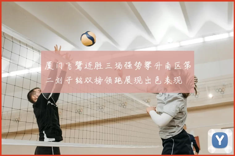 厦门飞鹭连胜三场强势攀升南区第二刘子铭双榜领跑展现出色表现