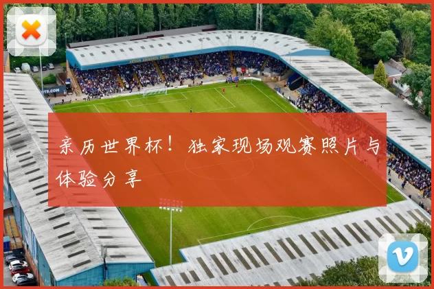 亲历世界杯！独家现场观赛照片与体验分享