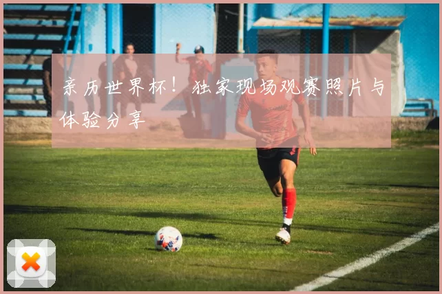 亲历世界杯!独家现场观赛照片与体验分享