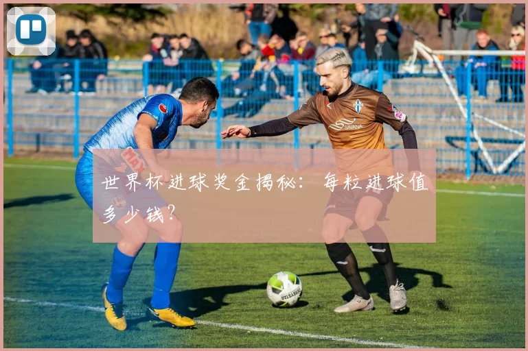 世界杯进球奖金揭秘:每粒进球值多少钱?
