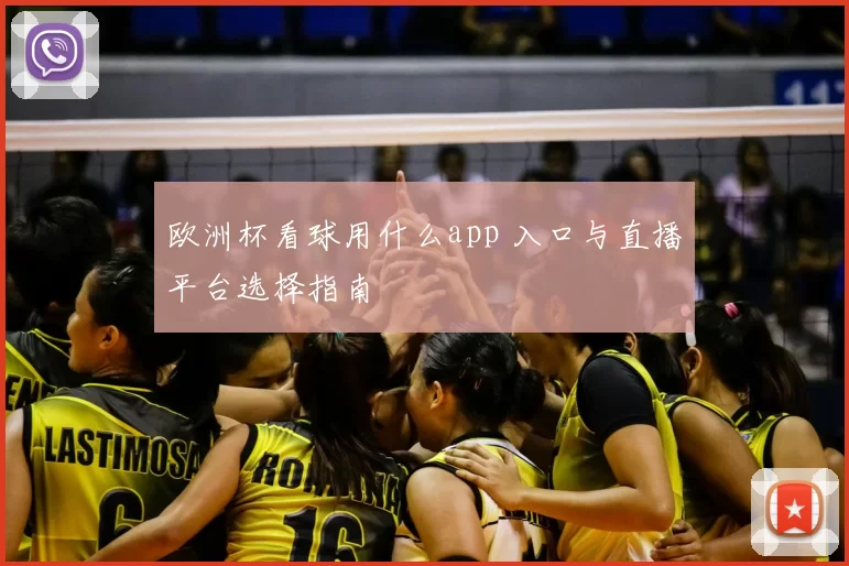 欧洲杯看球用什么app 入口与直播平台选择指南