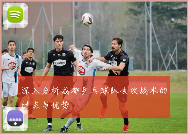 深入分析成都乒乓球队快攻战术的特点与优势