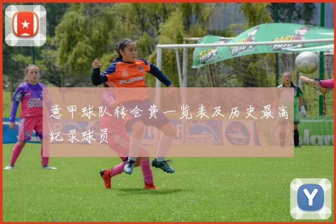 意甲球队转会费一览表及历史最高纪录球员