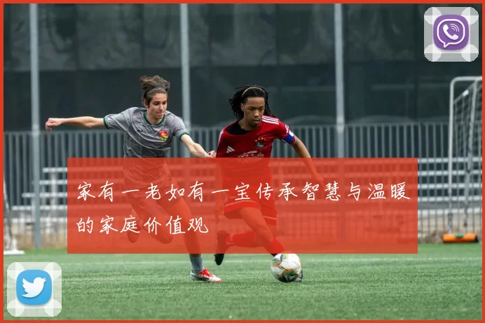 家有一老如有一宝传承智慧与温暖的家庭价值观
