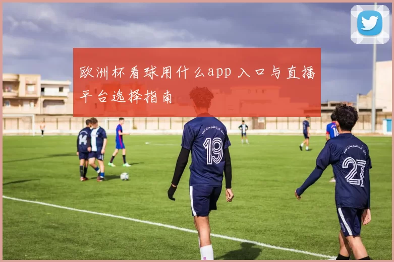 欧洲杯看球用什么app 入口与直播平台选择指南