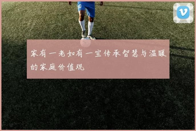 家有一老如有一宝传承智慧与温暖的家庭价值观