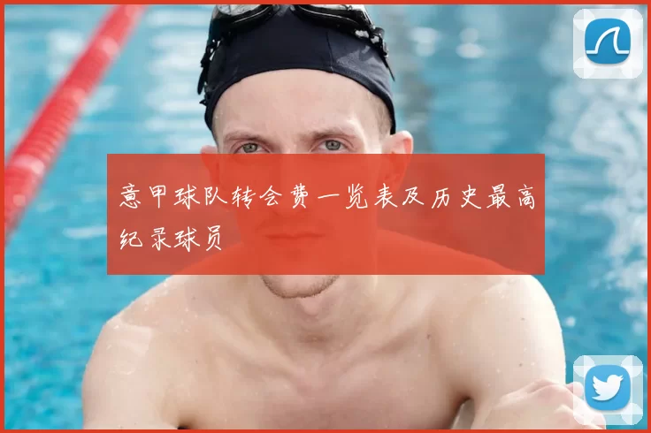 意甲球队转会费一览表及历史最高纪录球员